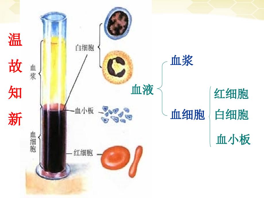 《输血与血型综述》PPT课件_第1页