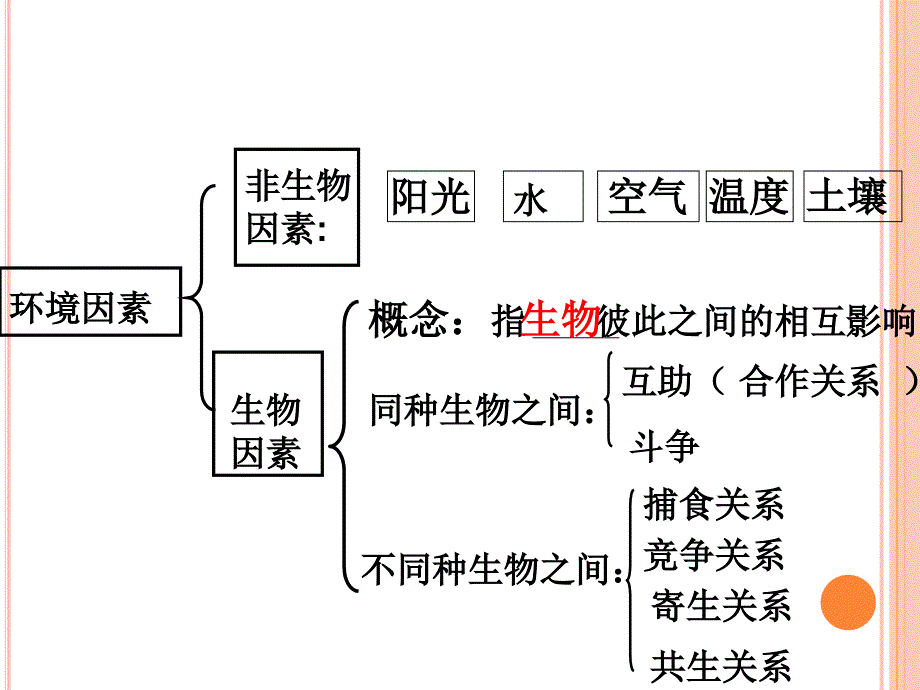 生物对环境的适应和影响_第3页