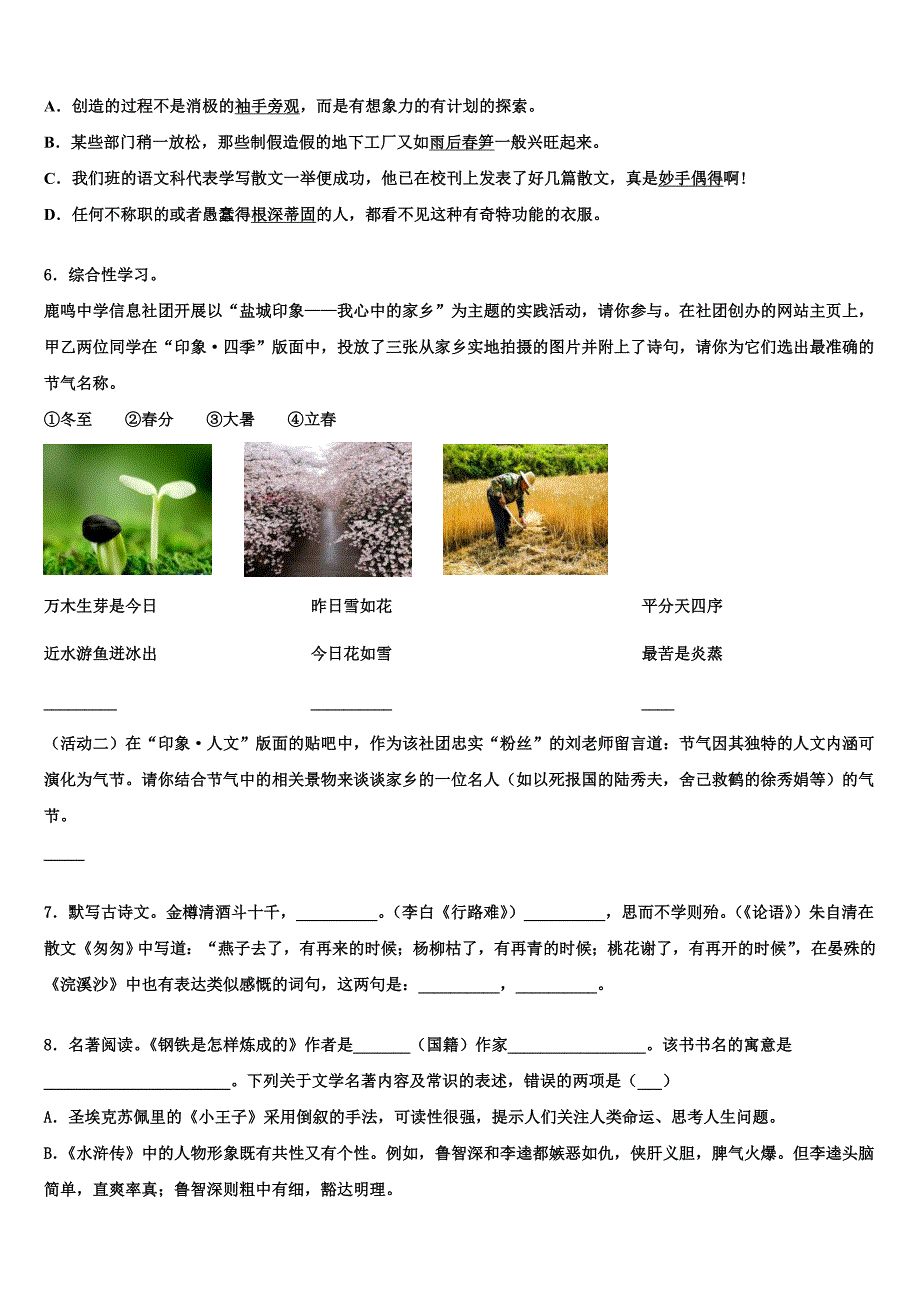 江苏省南京师范大附中江宁分校2023年中考语文模拟预测试卷(含解析）.doc_第2页