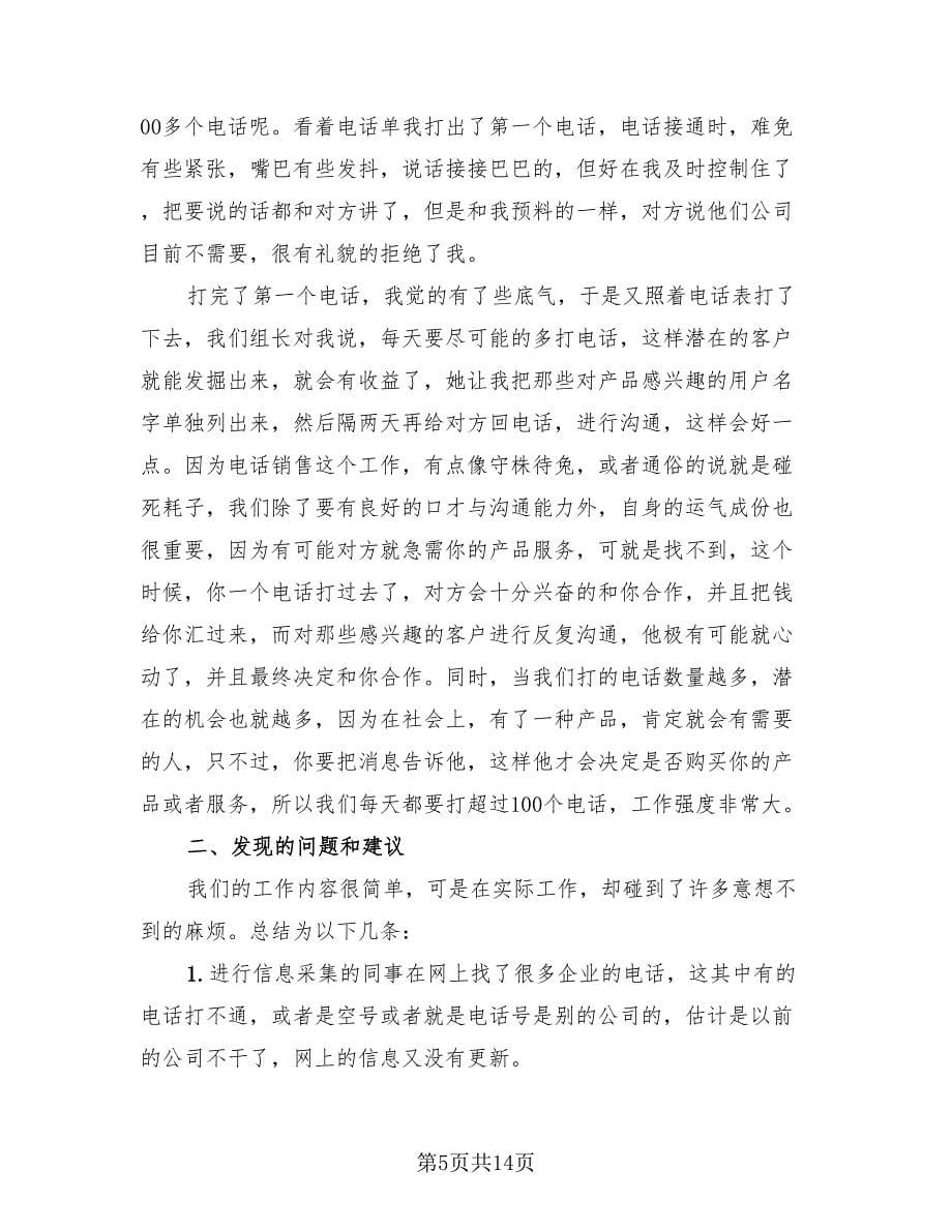 2023年销售员实习工作总结（三篇）.doc_第5页