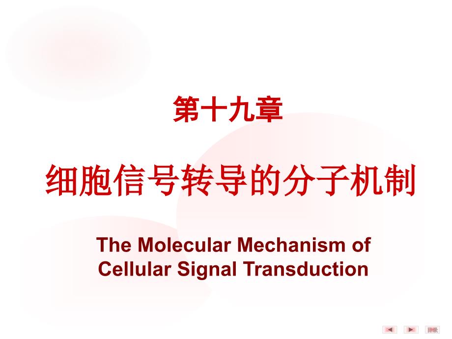 第19章细胞信号转导的分子机制ppt课件_第1页