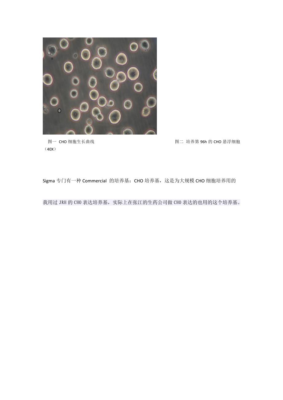 CHO无血清培养基宣传单定稿(精品)_第3页