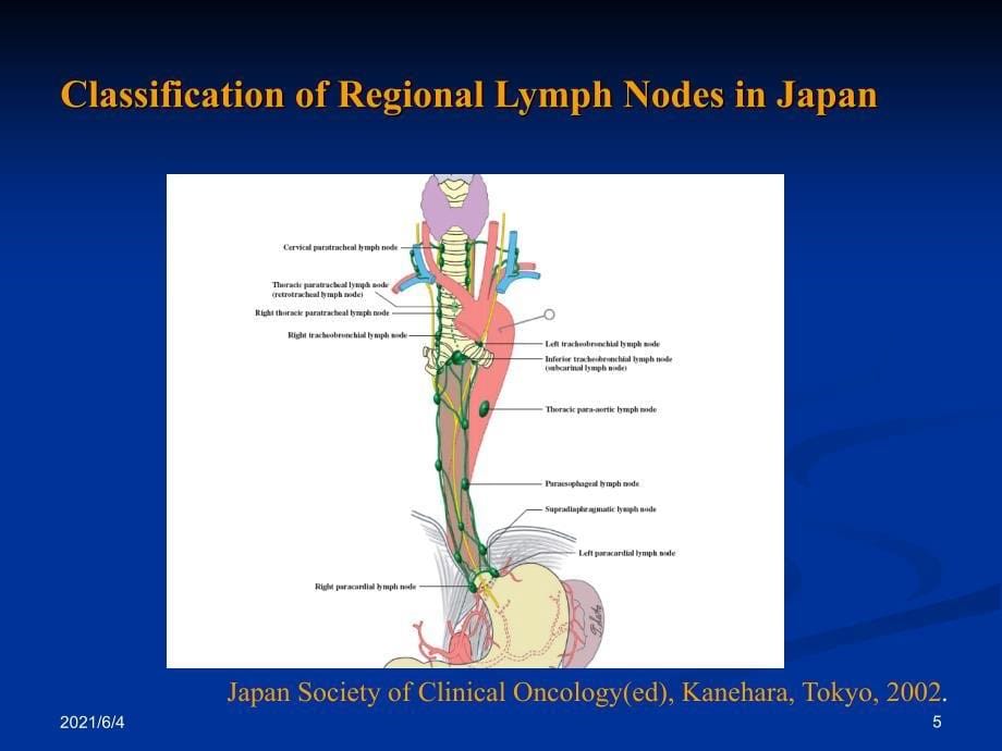 纵隔淋巴结分区(解剖及影像学分区)_第5页