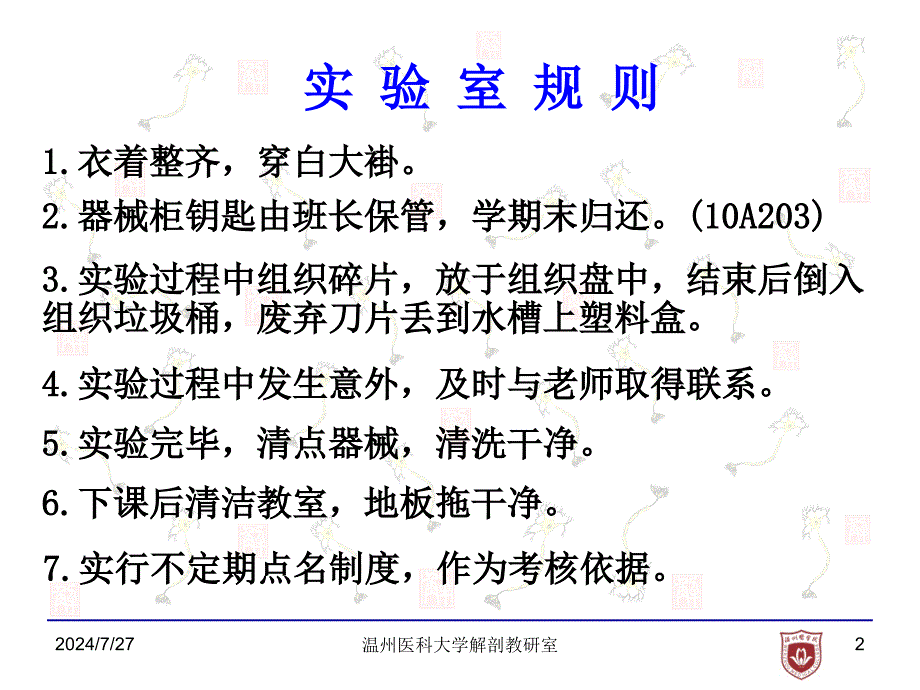 《局部解剖学 》教学课件：1_胸壁_第2页