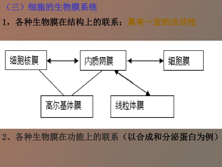 生命活动的基本单位-细胞、细胞工程_第3页