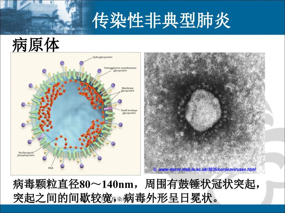 突发传染病课件_第4页