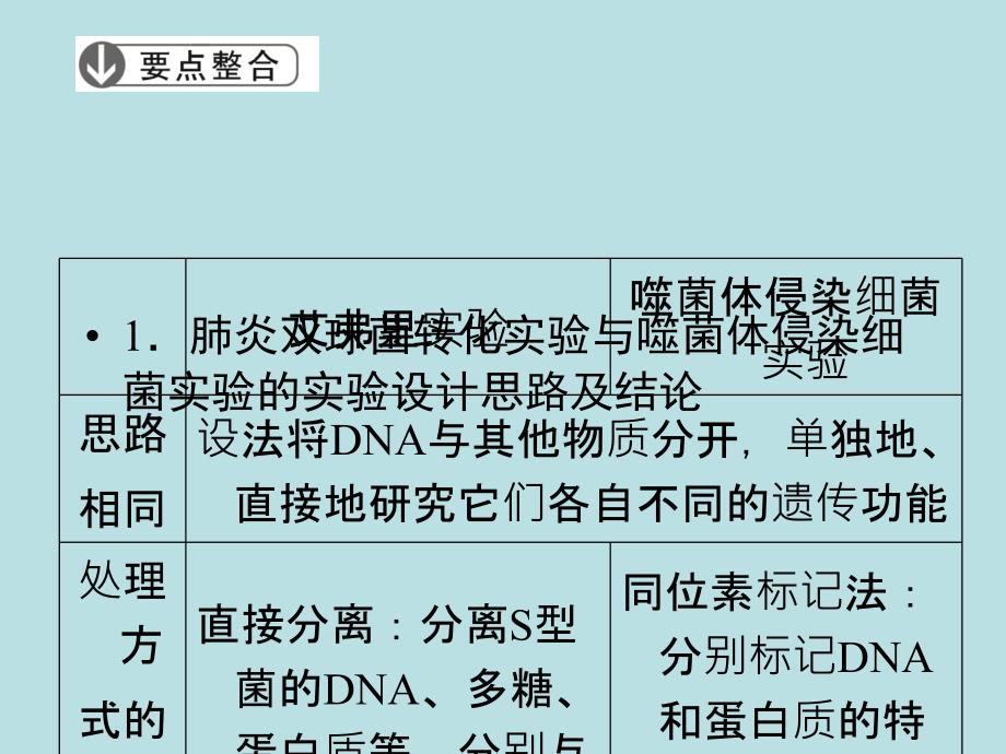 高三生物二轮复习通用课件第部分 专题 第讲_第4页