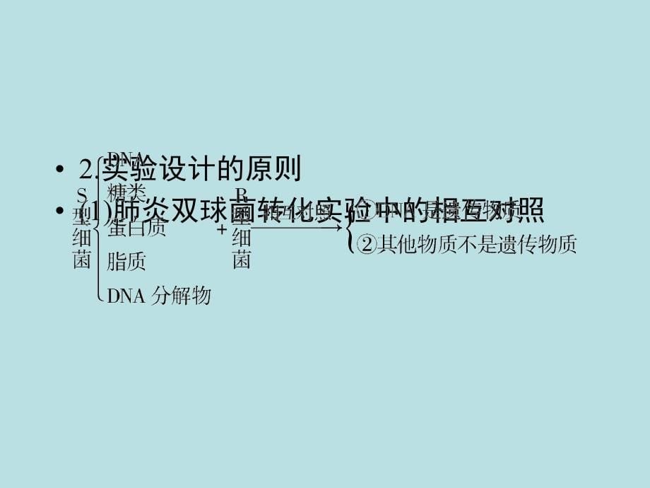 高三生物二轮复习通用课件第部分 专题 第讲_第5页