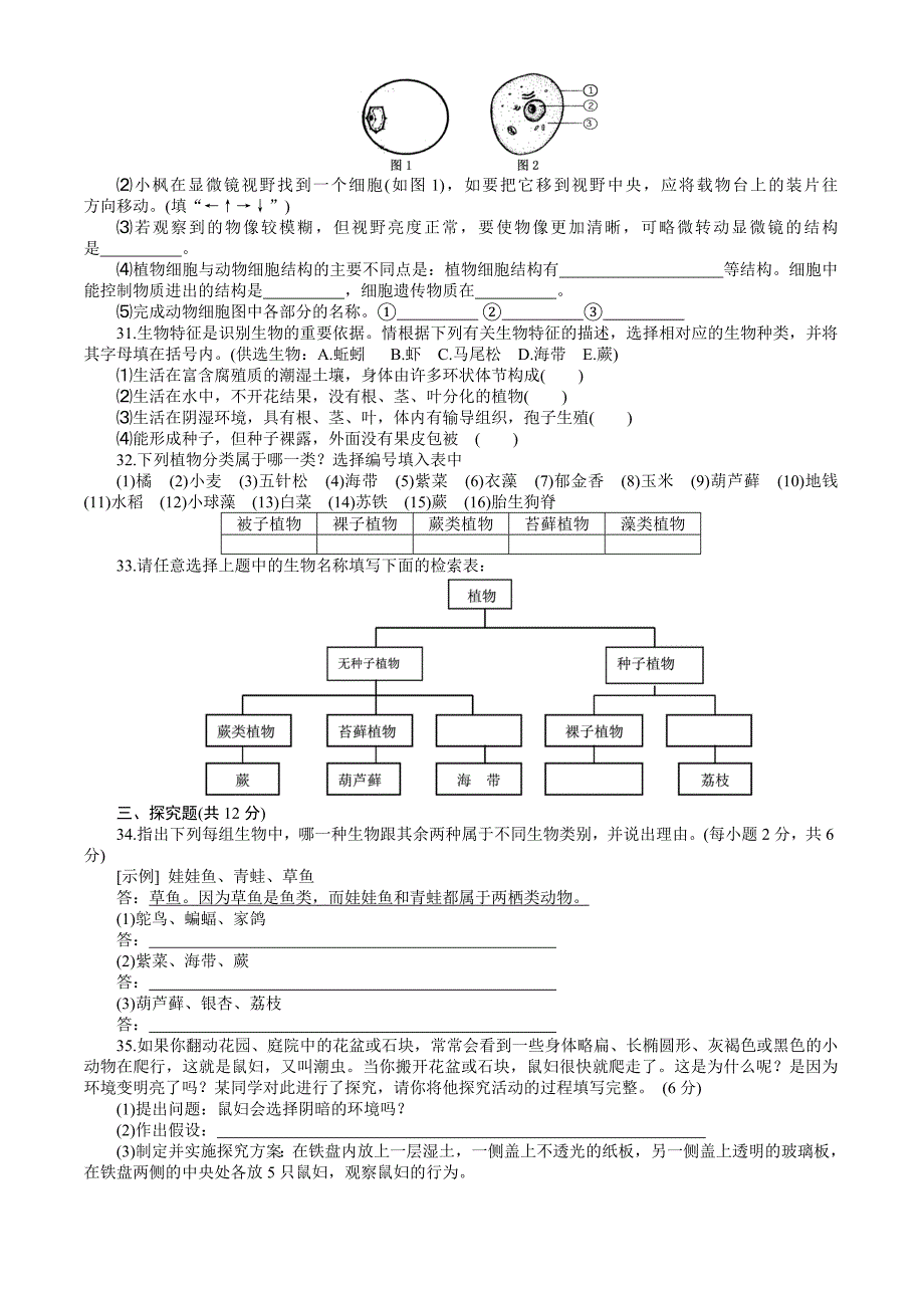 七年级(上)学生学习自测单元练习(六)_第3页