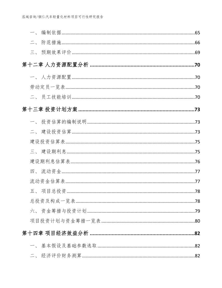 铜仁汽车轻量化材料项目可行性研究报告_范文模板_第5页