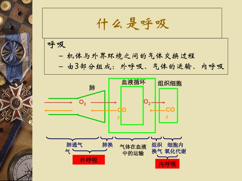 Drager呼吸机的使用_第3页