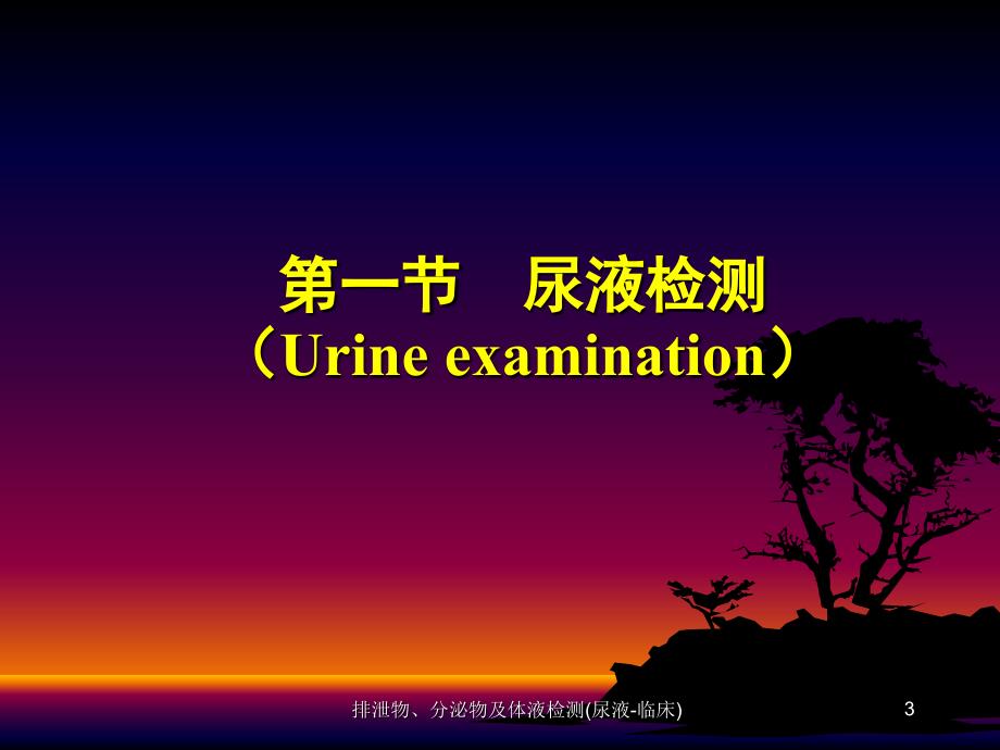 排泄物分泌物及体液检测尿液临床课件_第3页