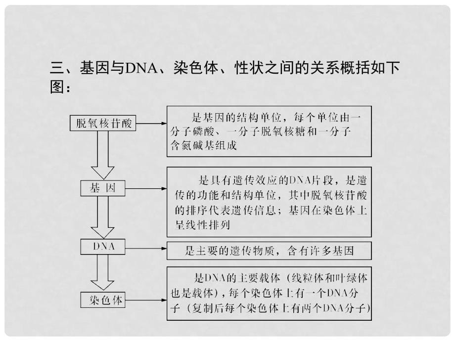 高考生物第一轮复习知识拓展 3.34基因是有遗传效应的课件 浙科版必修2_第5页