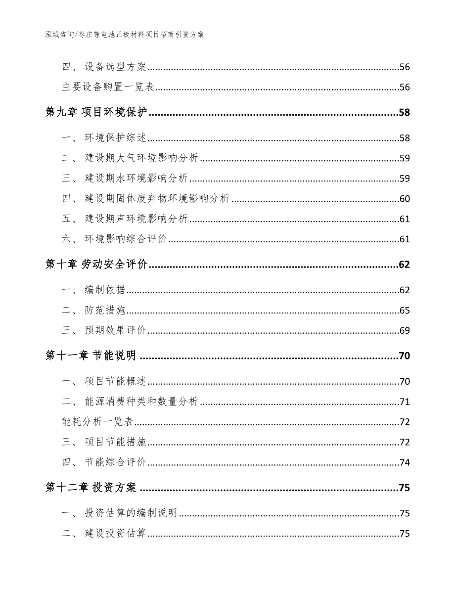 枣庄锂电池正极材料项目招商引资方案【范文参考】_第4页