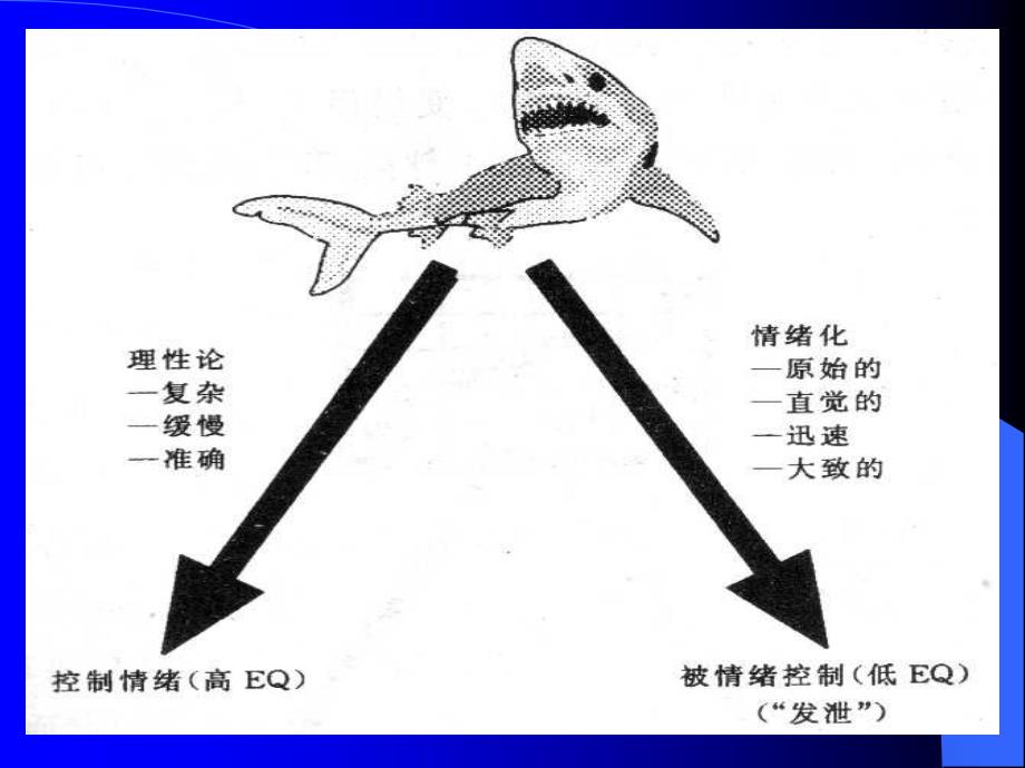 情商提高情商的自我训练ppt课件_第4页