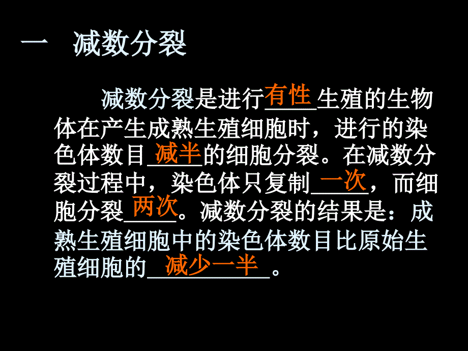 基因和染色体的关系减数分裂和受精作用_第4页