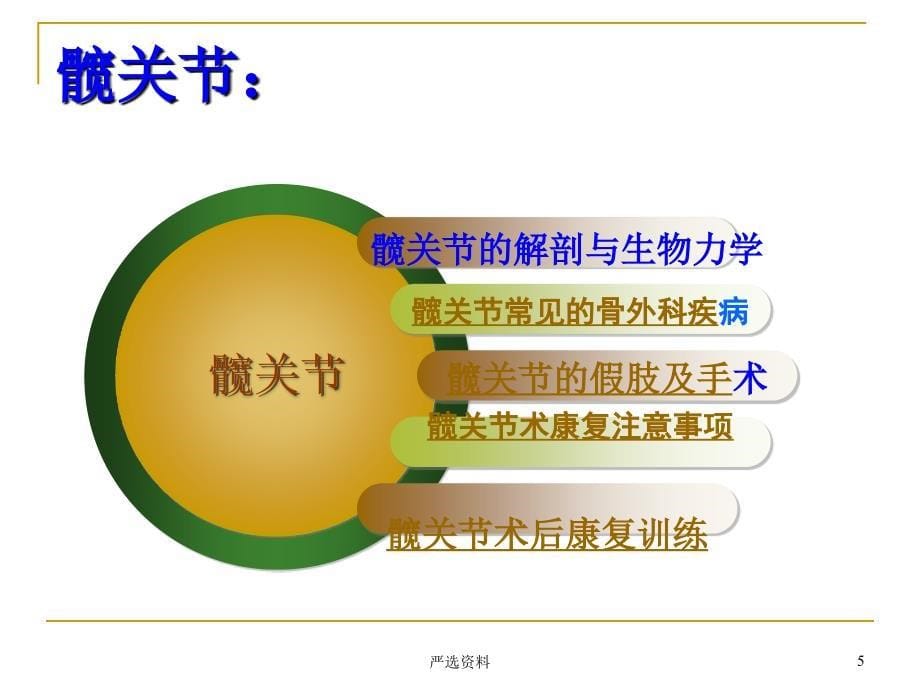 髋关节置换术后的康复训练行业荟萃_第5页