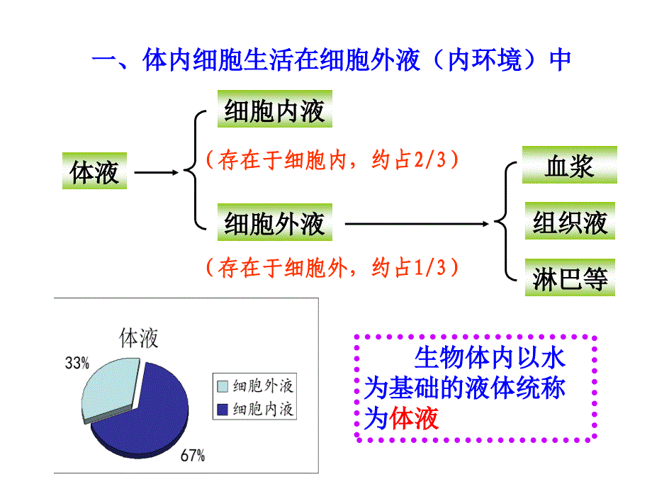 人体的内环境1课件_第4页