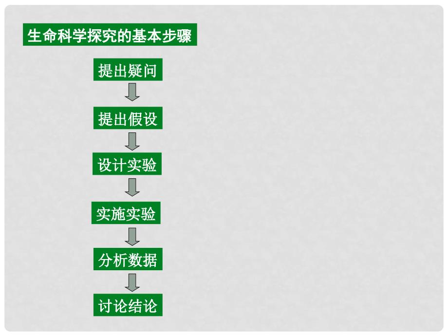 高一生物：1.2《走进生命科学实验室》课件（1）（沪科版第一册）_第4页