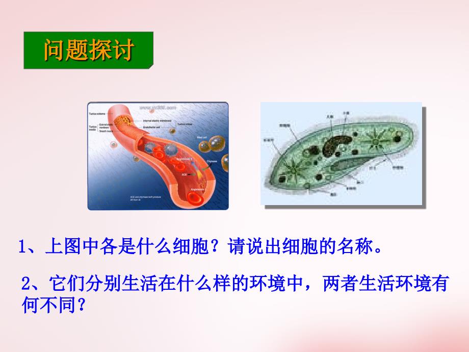 必修三设计一细胞生活的环境_第3页