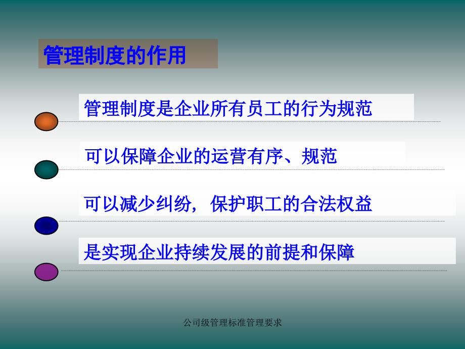 公司级管理标准管理要求课件_第3页