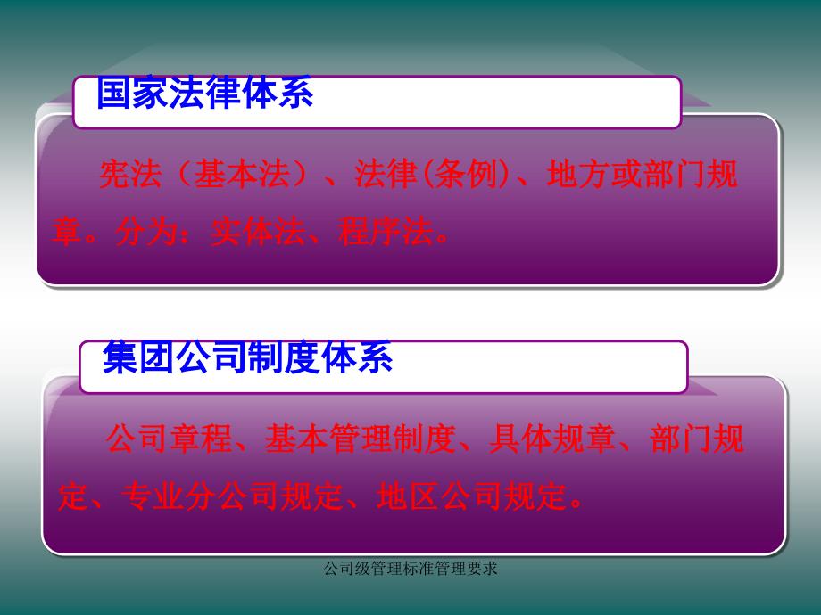 公司级管理标准管理要求课件_第4页