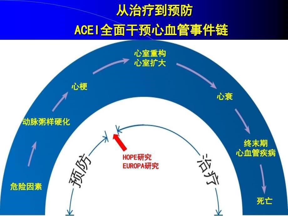 ACEI在冠心病中的应用_第5页