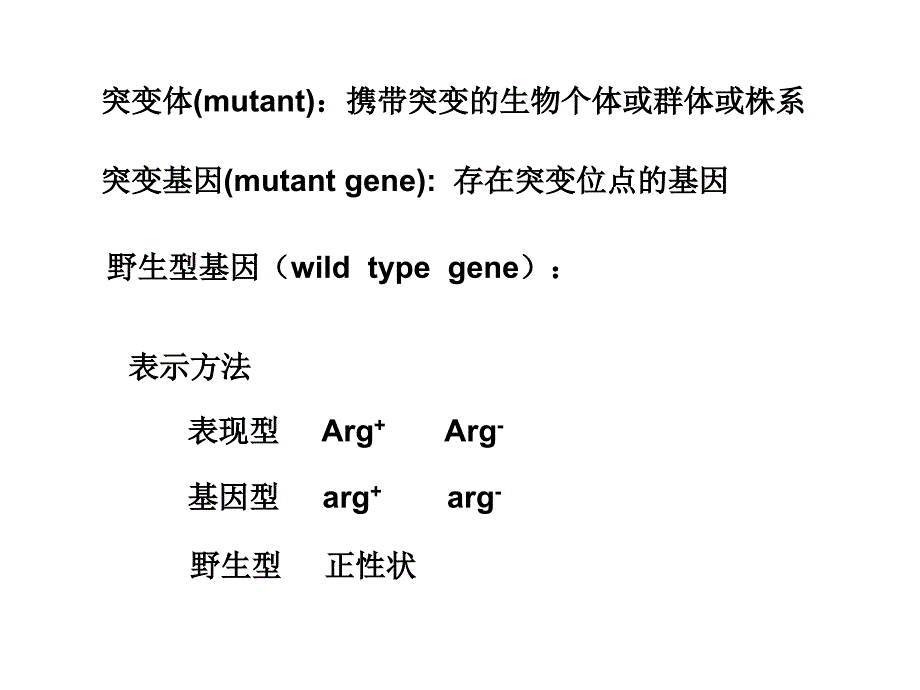 分子生物学课件chapter5DNA的变性与修复_第3页