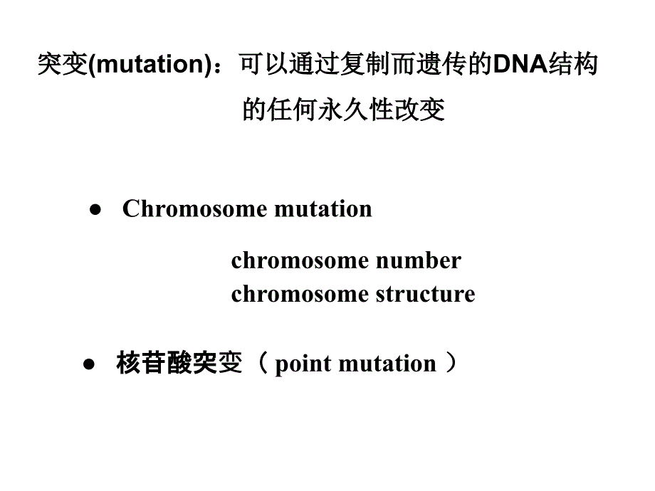 分子生物学课件chapter5DNA的变性与修复_第4页