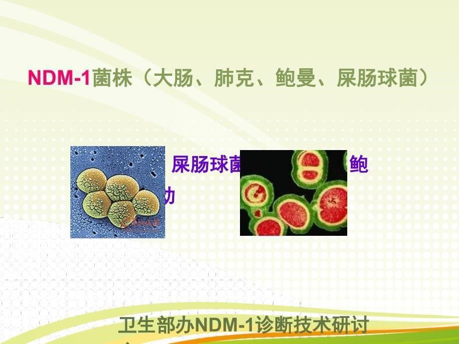 多重耐药菌与抗菌药物合理使用PPT课件02_第5页