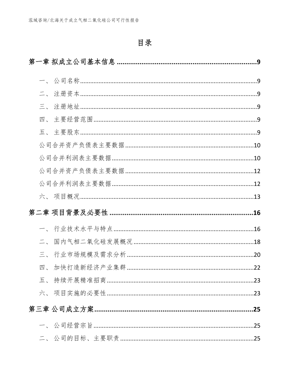 北海关于成立气相二氧化硅公司可行性报告_第2页