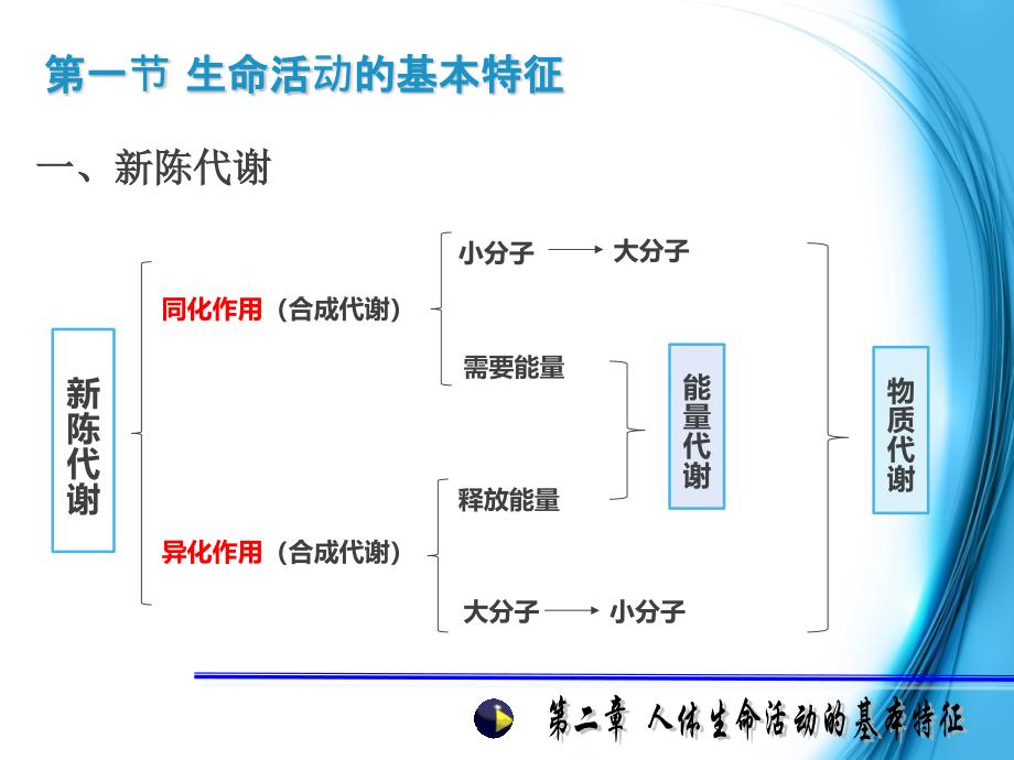 人体生命活动的基本特征_第3页