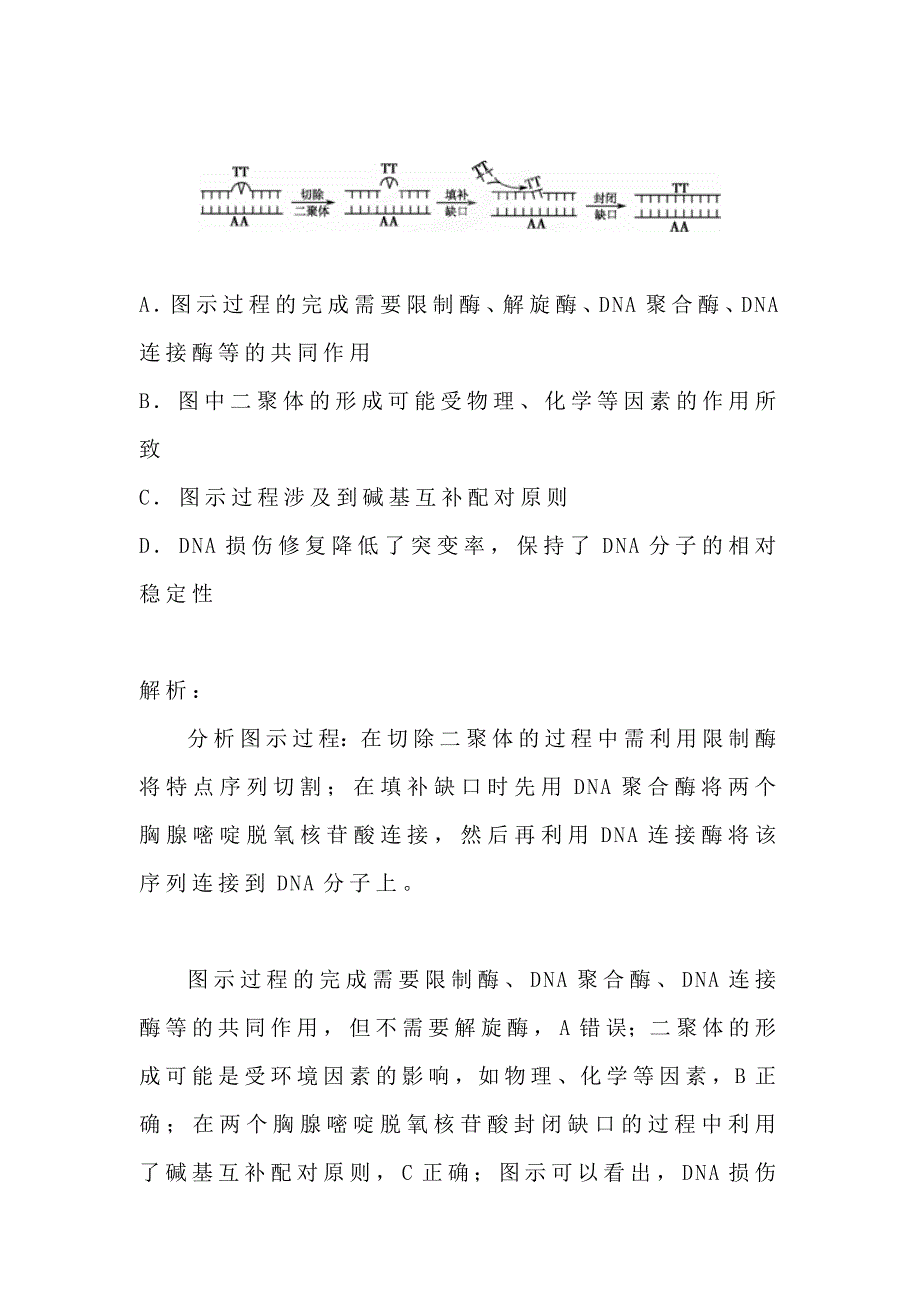 损伤的DNA如何修复.docx_第2页