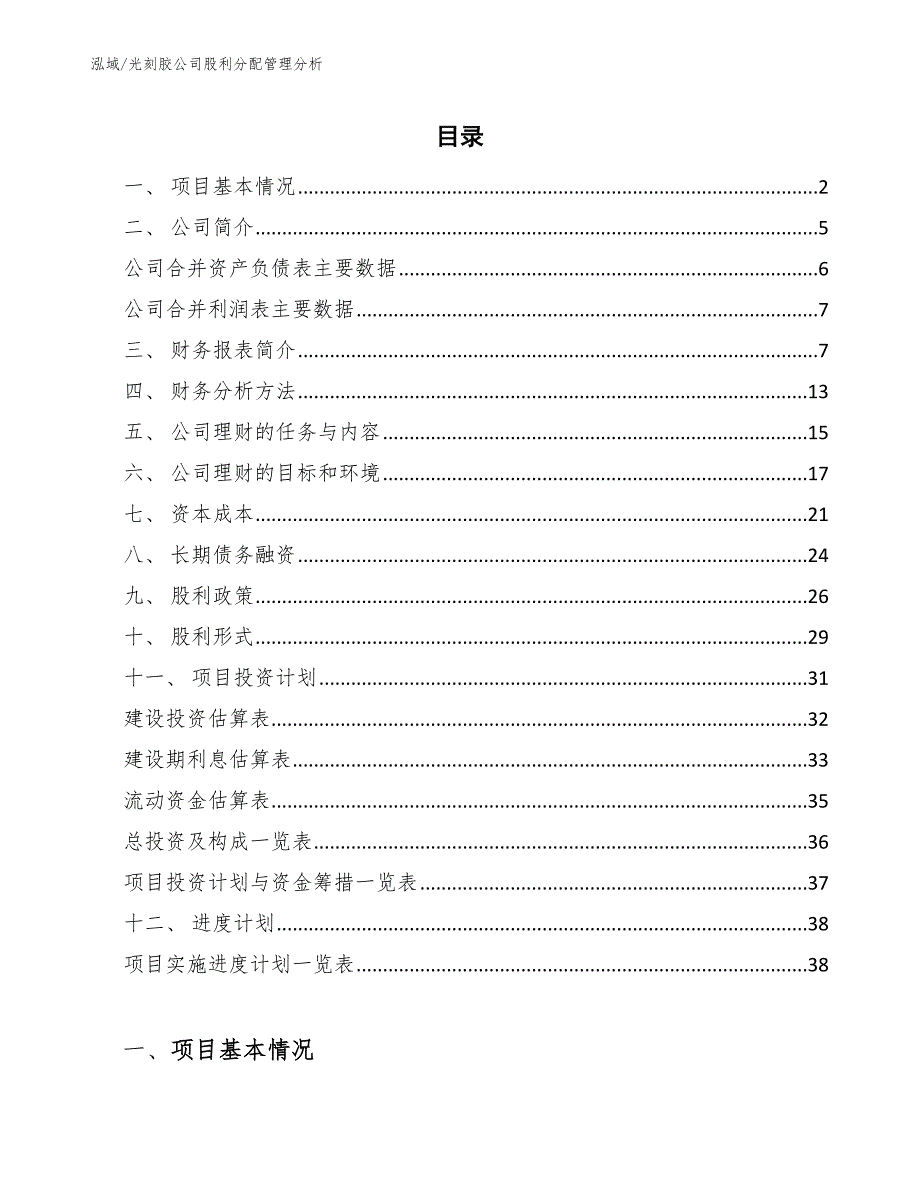 光刻胶公司股利分配管理分析_第2页