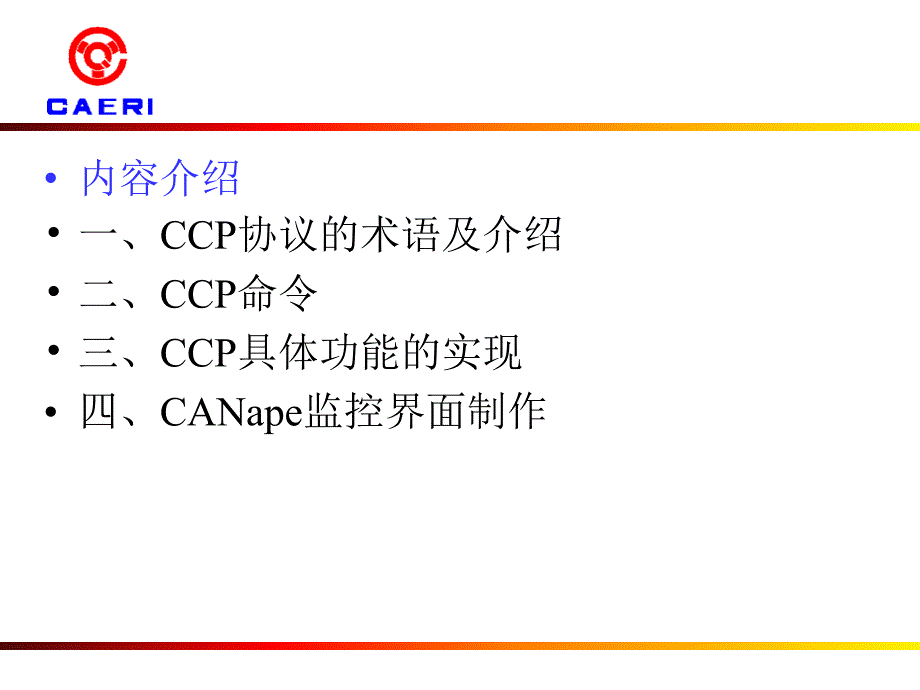 CCP交流及CANape开发【优质材料】_第2页