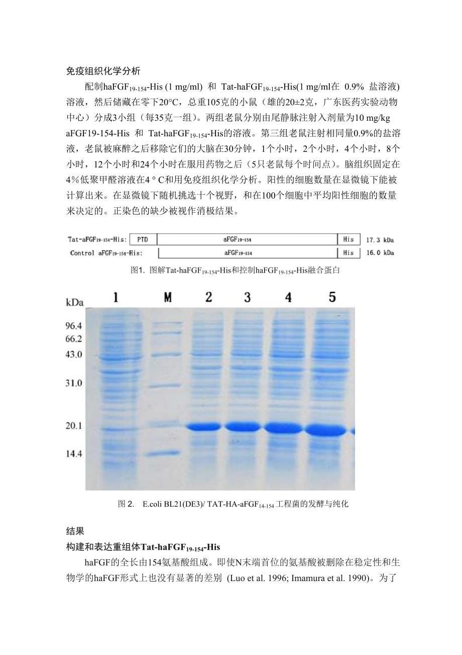 药学专业毕业论文-外文翻译(7).doc_第5页