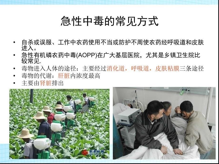 急性有机磷中毒的临床治疗指南.ppt_第5页