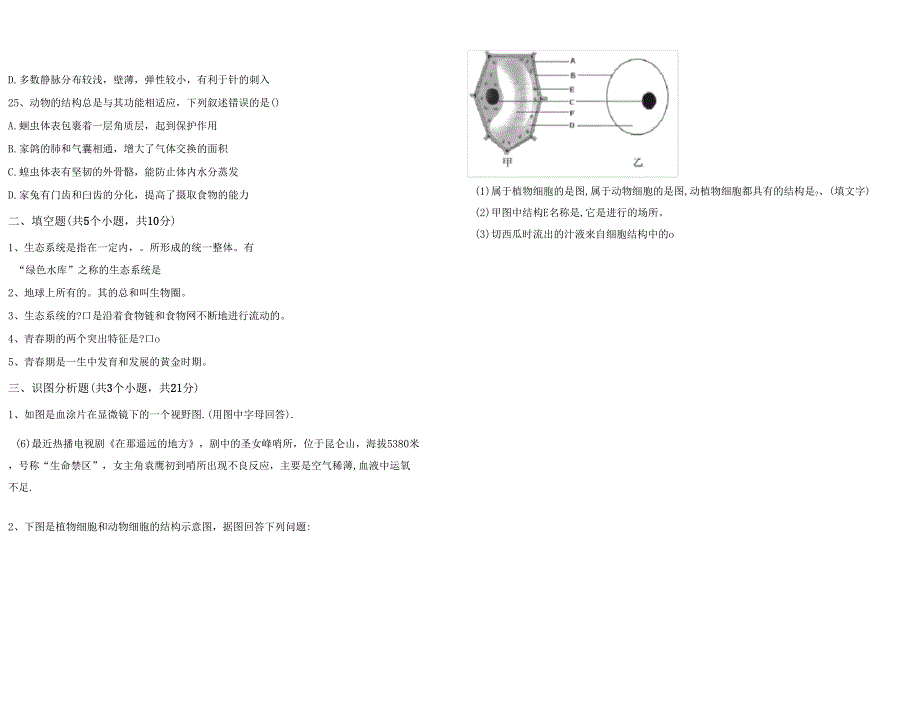 初中七年级生物上册月考考试卷及答案真题_第4页