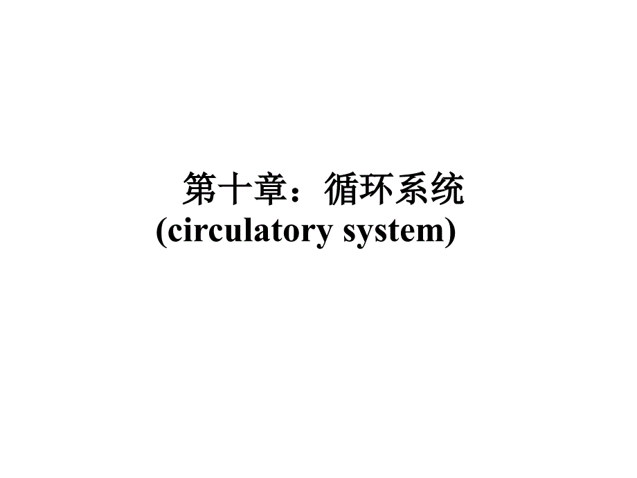 循环系统动物组织胚胎学_第1页