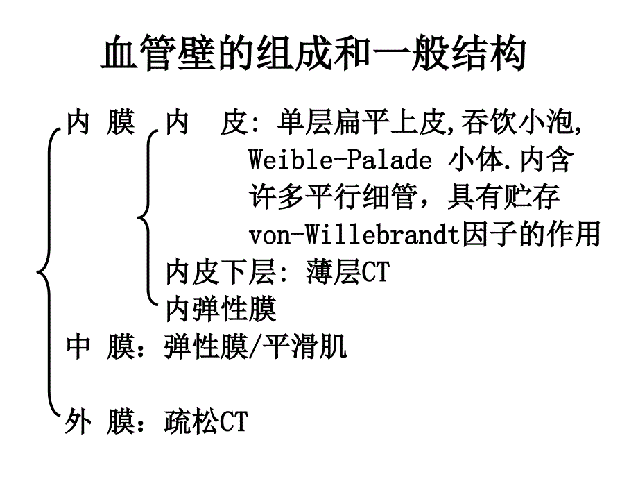 循环系统动物组织胚胎学_第4页