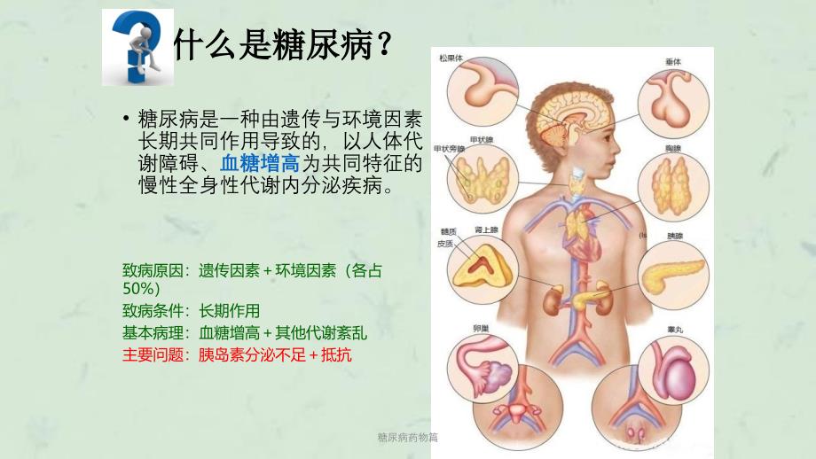 糖尿病药物篇课件_第2页