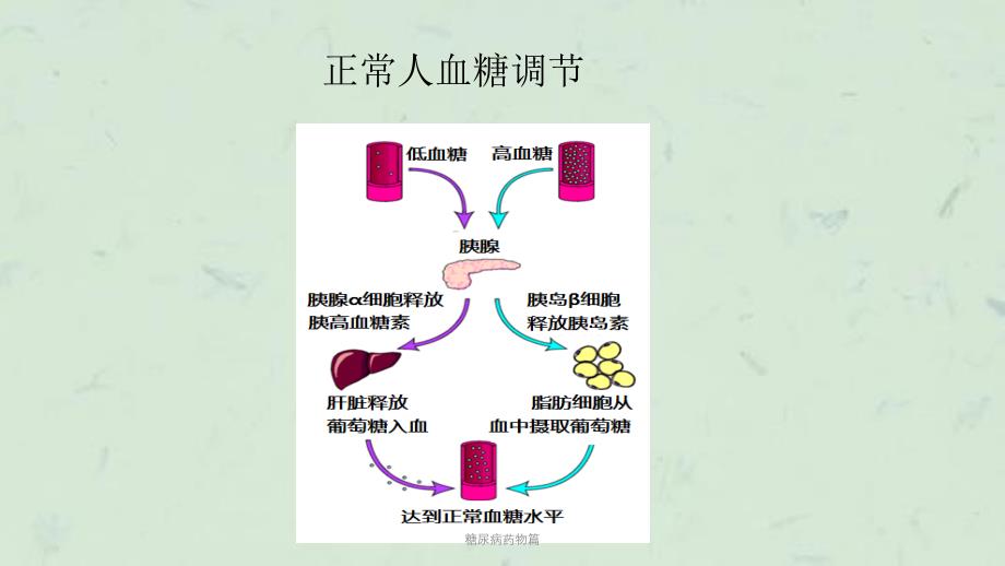 糖尿病药物篇课件_第3页