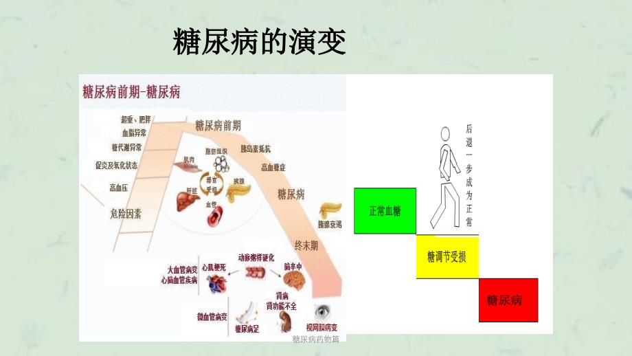 糖尿病药物篇课件_第4页