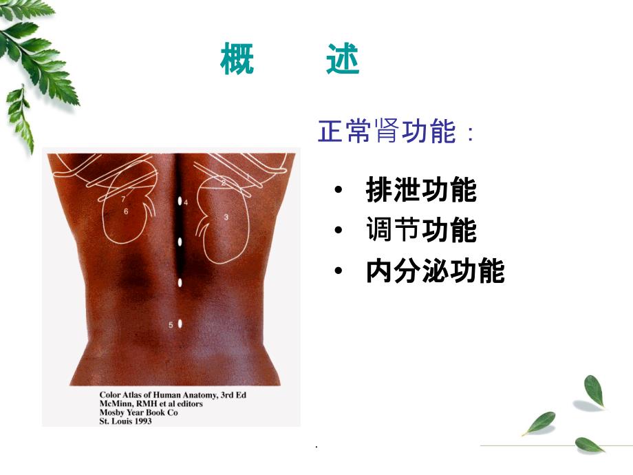 肾衰竭课件_第3页