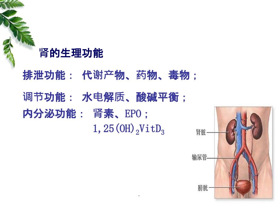 肾衰竭课件_第4页