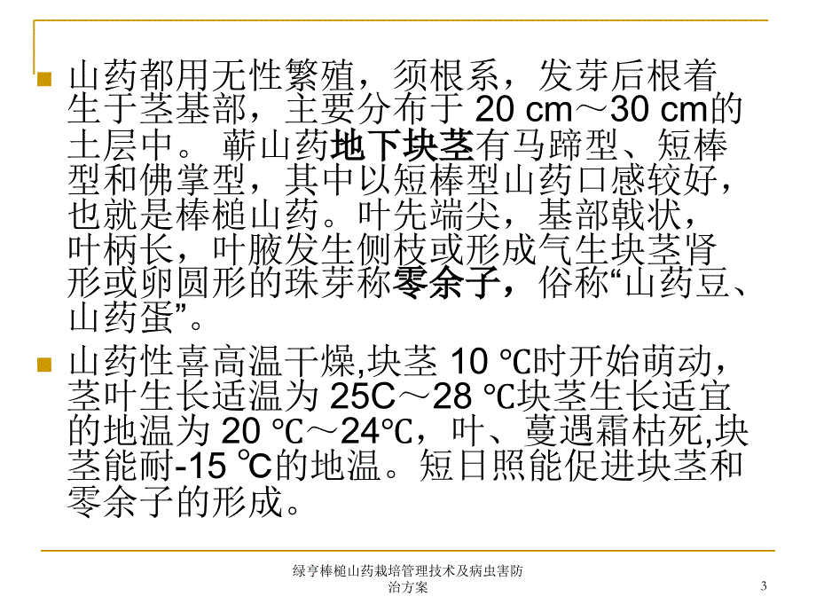 绿亨棒槌山药栽培管理技术及病虫害防治方案课件_第3页