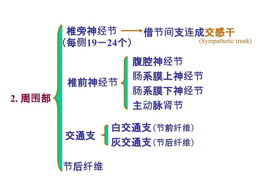 33内脏神经PPT文档_第5页