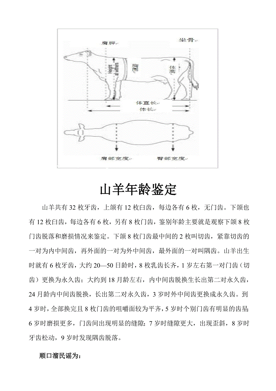 怎样鉴别牛羊的年龄、体重.doc_第4页