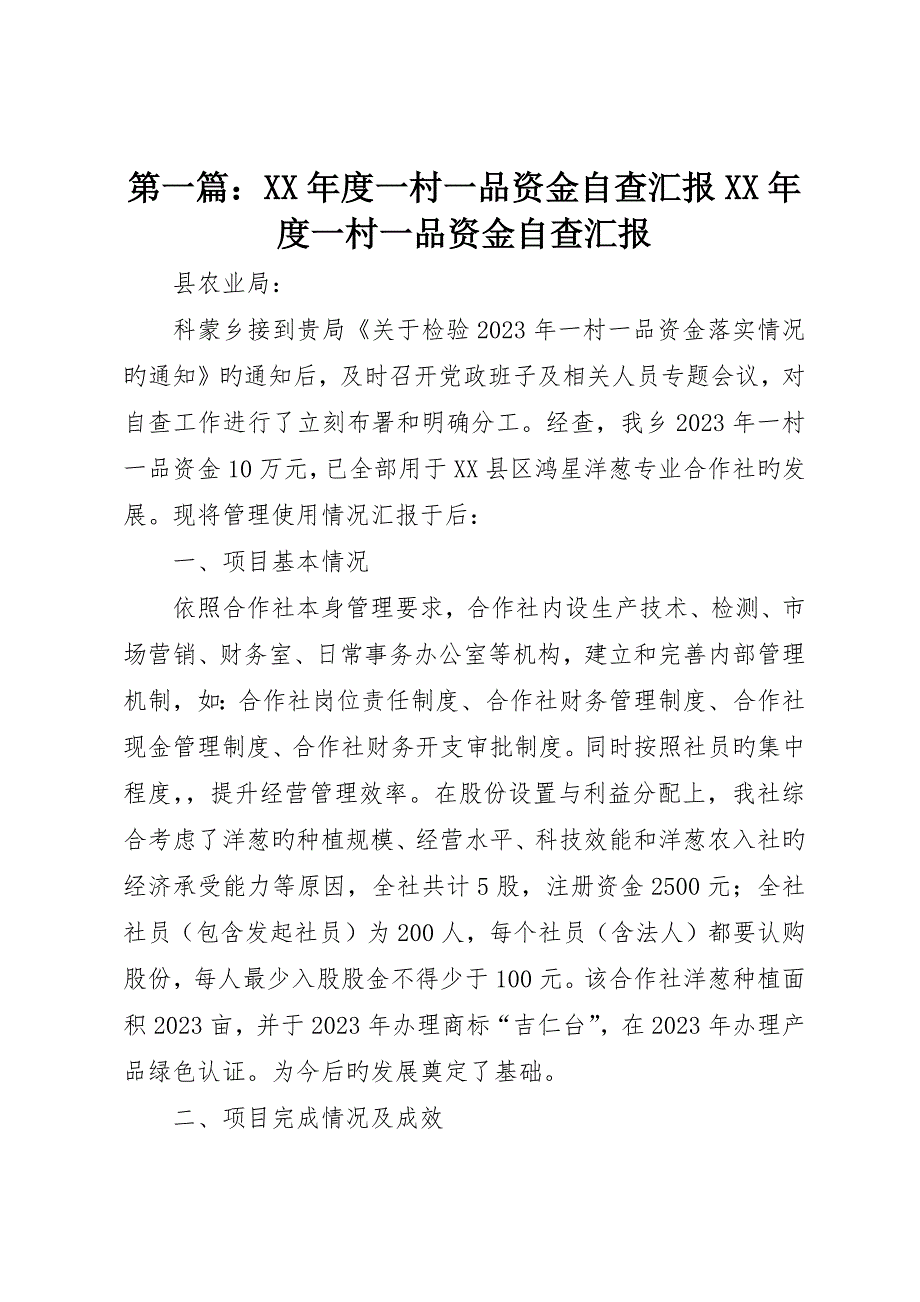 一村一品资金自查报告一村一品资金自查报告_第1页