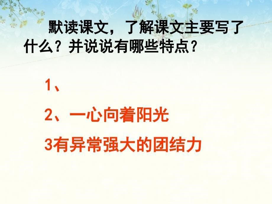 湘教版语文六上黄山松ppt课件2_第5页